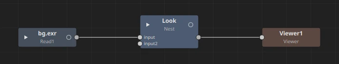 The node graph: a Read named bg.exr wired into a Nest node called Look (its input, and an empty input2 below it), and the Nest wired into the Viewer